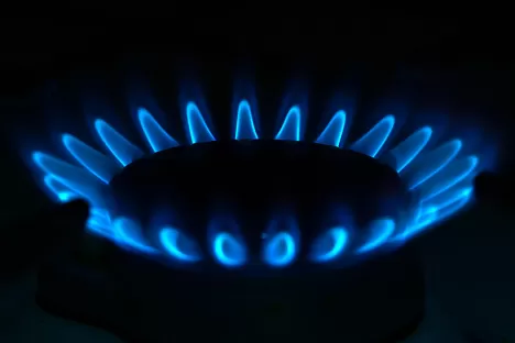 Herd Flamme