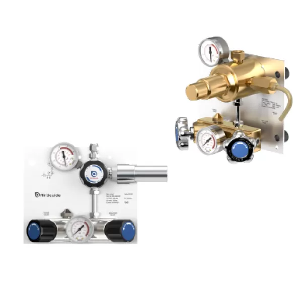 Gas manifolds