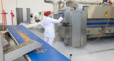 Schnelles Frosten von Fleischalternativen